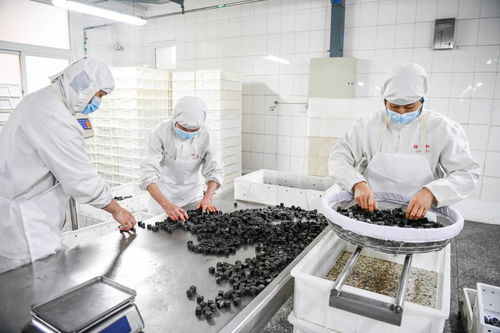 北京稻香村石磨元宵開搖啦 光看圖就饞了